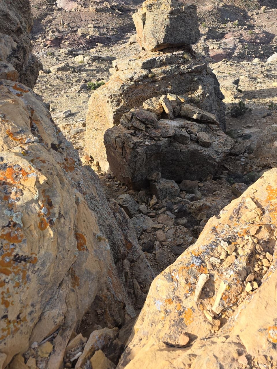 UTMB Desert Rats Race 2026 remote repeater deployment photo 3